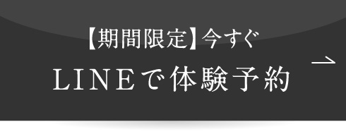 通常価格35,000円➡特別価格4,800円